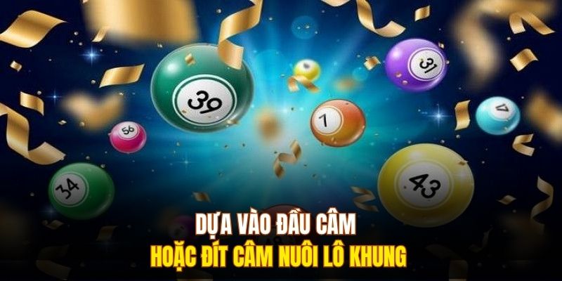 Dựa vào đầu câm hoặc đít câm nuôi lô khung