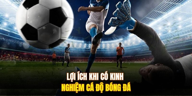 Lợi ích khi có kinh nghiệm cá độ bóng đá