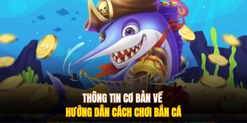 Thông tin cơ bản về hướng dẫn cách chơi bắn cá